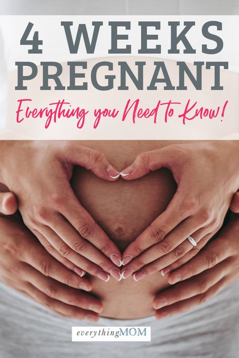 Believe it or not, you are 4 weeks pregnant, or one month into your ten-month pregnancy.You might believe it at the end of this week when your period is suspiciously absent.Or you might be running about in the throes of daily life and not noticing a thing.Perhaps your menstrual cycles are longer than average or irregular. 4weeks Pregnant, One Month Pregnant, 4 Weeks Pregnant, Early Pregnancy Test, 17 Weeks Pregnant, 11 Weeks Pregnant, First Trimester Tips, 13 Weeks Pregnant, 5 Weeks Pregnant