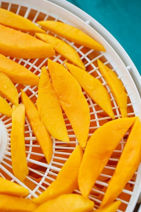 Dehydrating Mango, Dehydrated Mango, Banana Granola Bars, Dehydrator Recipes Fruit, Dehydrating Food Storage, Mango Slices, Mango Recipe, Banana Granola, Mango Mango