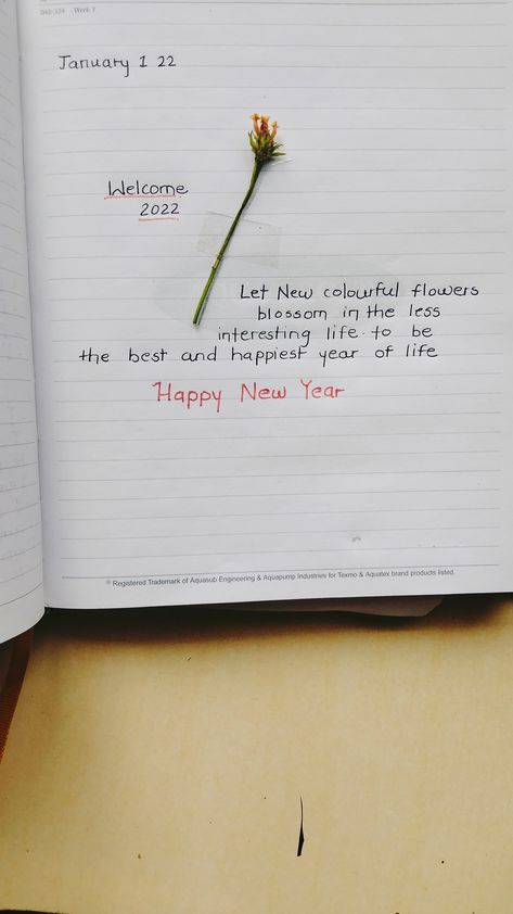 Personal Diary Decor Ideas, Ruled Diary Ideas, Writing Dairy Ideas, New Year Diary Writing, New Year Diary Ideas 2024, Personal Diary Writing Ideas Creative, Quotes For Personal Diary, Quotes For Diary Writing, New Year Dairy Ideas