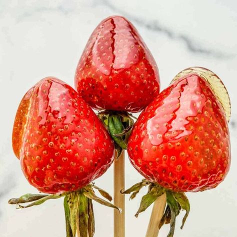 Have you had candied strawberries before? They're even more delicious than chocolate-covered strawberries. They have a clear crunchy candy coating on the outside and a soft, juicy strawberry on the inside. These strawberries are the ideal Valentine's Day treat. If you're looking for more candy, try my rock candy recipe. This candied strawberries recipe will turn anyone into a strawberry fan. #candiedstrawberry #candy #Dessert #strawberry #sweet #tanghalulu Tang Hulu, Candied Strawberries Recipe, Yogurt Covered Strawberries, Tanghulu Recipe, Oven Dried Strawberries, Candied Strawberries, Can Dogs Eat Strawberries, Hard Candy Recipes, Strawberry Crisp