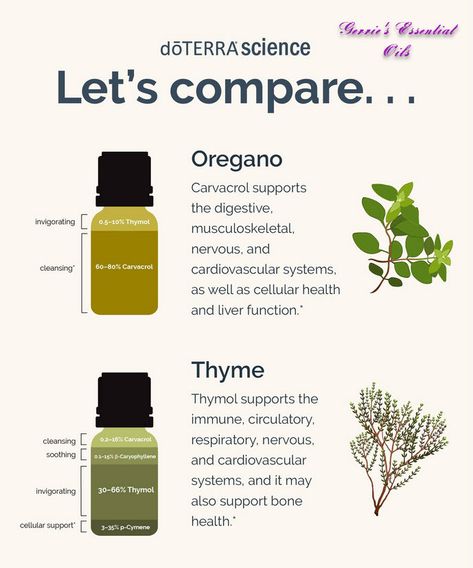 Oil Of Oregano Benefits How To Use, How To Ingest Oregano Oil, Thyme Essential Oil Benefits, How To Use Oregano Essential Oil, What Is Oregano Oil Good For, Oregano Benefits, Doterra Oregano Oil, Health Benefits Of Oregano Oil, Energetic Alignment