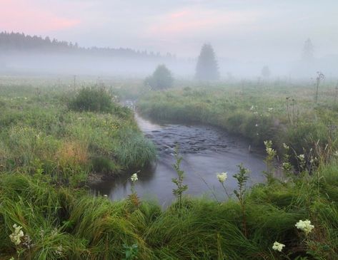 Matka Natura, Forest Fairy, Nature Aesthetic, Pretty Places, Green Aesthetic, Lush Green, Mother Earth, Pretty Pictures, Happy Places