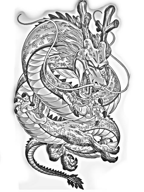 Shenron Tattoo Design, Shenlong Tattoo, Shenron Tattoo, Sheng Long, Dragon Tattoo Stencil, Shen Long Tattoo, Hellboy Tattoo, Tattoo Perna, Pokemon Tattoos