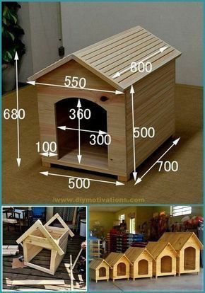 Start building with a collection of 12,000 shed plans! My Shed Plan is a complete guide that explains how you can build a beautiful shed from scratch. Given detailed blueprints and step by step instructions that even a beginner can follow. #shedhouseideas #shedbuildingplans #shed #shedbuilding #shedplans #shedhousesideas #shedding #shedhouse #shedideas #sheddesigns Pallet Dog House, Wood Dog House, Katt Grejer, Wooden Dog House, Dog House Plans, Outdoor Dog House, Cat House Diy, Pallet House, Dog House Diy