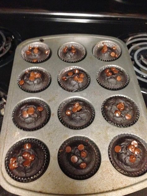 Less than 100 Calories chocolate chocolate chip muffins with healthy ingredients.  Easy to make! Flourless Chocolate Muffins, Muffins With Oatmeal, Oatmeal And Yogurt, Chocolate Chocolate Chip Muffins, Low Cal Chocolate, Craving Chocolate, Chocolate Chip Cupcakes, Double Chocolate Muffins, 100 Calorie