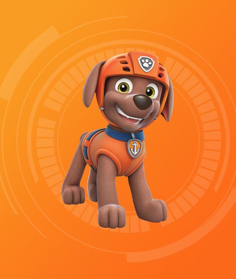 PAW Patrol | Zuma Hat Backwards, Paw Patrol Zuma, Beach Puppy, One Cool Dude, Zuma Paw Patrol, Water Rescue, Paw Patrol Characters, Cool Dude, Movie Guide