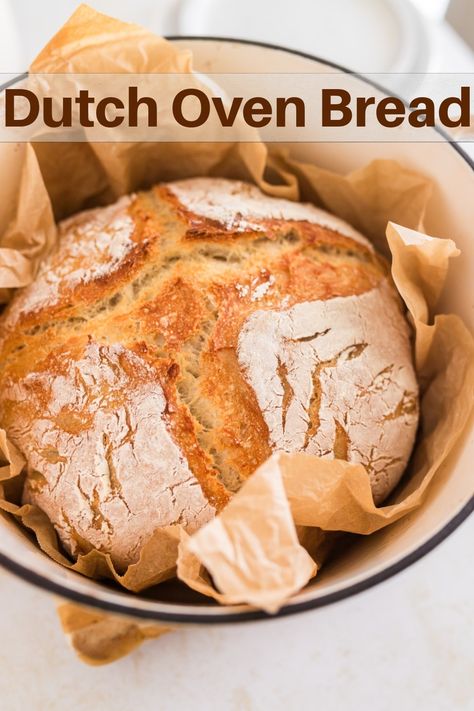 Rye Bread Recipes, Best Dutch Oven, Oven Bread, Dutch Oven Bread, Dutch Oven Recipes, Loaf Of Bread, No Knead Bread, Rye Bread, No Knead