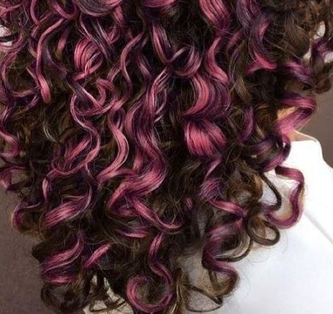 cabelo cacheado rosa Curly Pink Hair, Pink Hair Streaks, Pink Curls, Skunk Hair, Dyed Curly Hair, Pink Hair Dye, Highlights Curly Hair, Cute Hair Colors, Hair Streaks