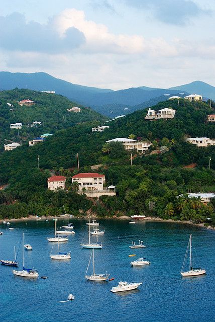 Chocolate Hole, St. John, USVI Stayed in home in front! Beautiful! Will St John Art, St John Antigua, St Johns Antigua, St John Virgin Islands Villas, St John Virgin Islands, Virgin Islands Vacation, St. John’s Virgin Islands, Virgin Island, St John Usvi