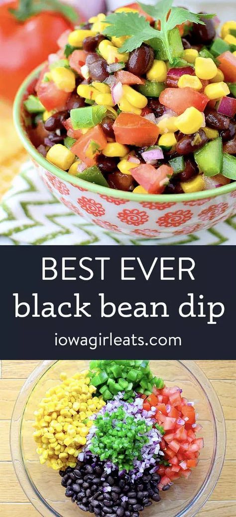 Healthy Dip Recipes, Cold Dip Recipes, Bean Dip Recipes, Black Bean Dip, Party Dip Recipes, Iowa Girl Eats, Dip Recipes Easy, Beach Meals, Bean Dip