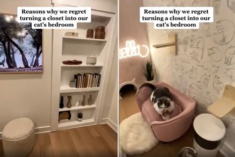 Cat Closet, Closet Transformation, Cat Space, Cat Bedroom, Mean Cat, Boxer Puppy, Secret Door, Cat Post, Secret Rooms