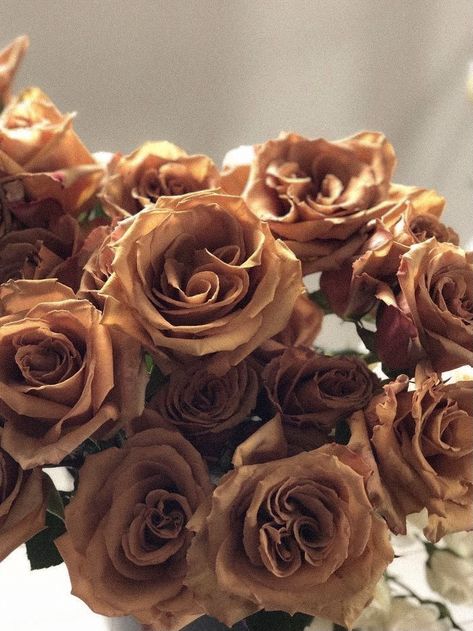 Rose Taupe Aesthetic, Brown Roses Aesthetic, Rosy Brown Aesthetic, Brown Flowers Aesthetic, Brown Aesthetic Vision Board, Brown Vision Board, Asethic Pictures, Second Ig, Brown Bouquet