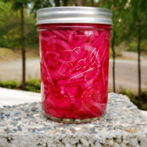 Canned Pickled Red Onions – Never Free Farm Canned Pickled Red Onions Recipe, Water Bath Canning Pickled Red Onions, How To Can Pickled Red Onions, Pickled Onions For Canning, Canned Pickled Red Onions, Pickeled Red Onions, Canning Onions, Easy Pickled Red Onions, Picked Red Onions