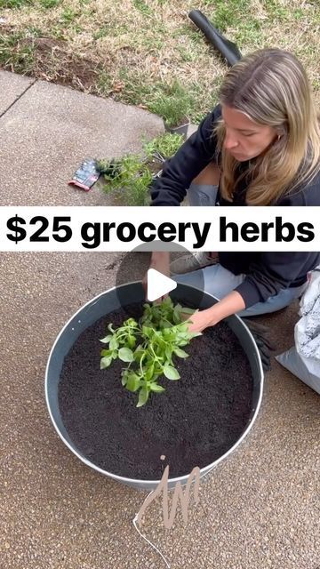 CRUCIAL FOUR on Instagram: "This is how you can start your very own herb garden even with a small space 🙌 Anyone wanting to get into gardening this year?   #gardening #organicgardening #herbgardening" Small Herb Garden Ideas, Potted Herb Garden Ideas, Balcony Herb Gardens, Kitchen Herb Garden, Herb Garden Ideas, Gardening Indoors, Herb Garden Pots, Indoor Herb, Growing Greens