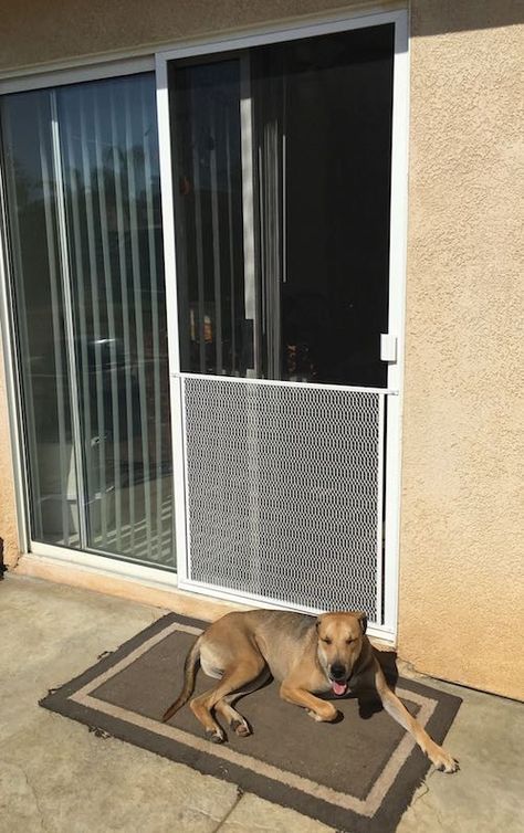 dog proof screen door grill Dog Proof Window Screen, Sliding Screen Door With Dog Door, Dog Screen Door Ideas, Screen Door Protector From Dogs, Pet Proof Screen Door, Screen Door Grill, Dog Screen Door, Door Protector From Dog, Screen Door Protector