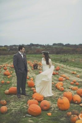 Perfect pumpkin patch at this Fall venue. Pumpkin Patch Wedding, Wildflowers Photography, Pumpkin Wedding, Wedding Themes Fall, Fall Wedding Decorations, Peach Wedding, Wedding Engagement Photos, Halloween Wedding, Island Weddings