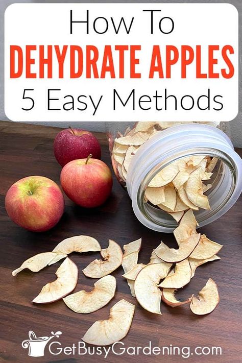 One of the best ways to preserve your harvest is by learning how to dehydrate apples. Making your own chips is a wonderful way to enjoy the flavor for months, even a full year if you store them correctly. In this guide on drying apples, I share the methods for turning fresh fruit into cupboard safe snacks. Learn how to dehydrate apples in the oven, a dehydrator, an air fryer, in the microwave, or just by using the sunshine. Each method can turn your favorite variety into your new favorite snack. Drying Apples, Dehydrate Apples, Dried Apple Rings, Dehydrated Apples, Apple Rings, Scratch Recipes, Food F, Dehydrated Fruit, Cinnamon Recipes