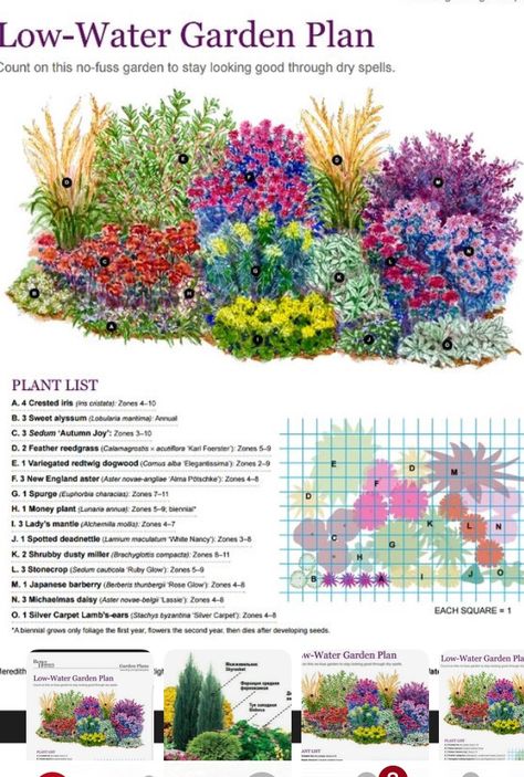 Flower Garden Plans, Taman Air, Low Water Gardening, Garden Plan, Garden Wallpaper, Flower Garden Design, Garden Design Plans, Garden Types, Diy Gardening