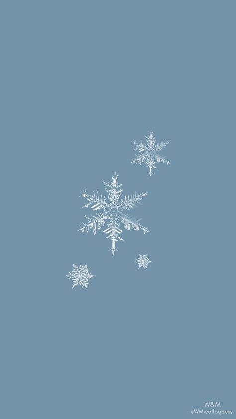 Iphone Wallpaper For Winter, Winter Aesthetic Wallpaper Simple, Cute Winter Wallpapers Aesthetic Simple, Minimalist Winter Aesthetic, Snowy Iphone Wallpaper, Snow Flake Aesthetic, Winter Asthetics Photos Wallpaper, Snow Flakes Aesthetic, Iphone Wallpaper Winter Aesthetic