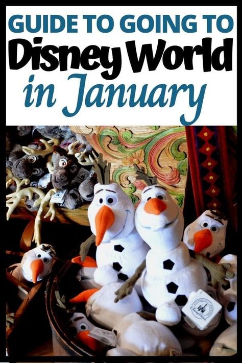 Disney World In January 2024, Disney World New Years Eve, What To Wear To Disney In January, Disney January Outfit, What To Wear To Disney World In January, Disney World Outfits January, Epcot Outfit Ideas Winter, Disney Outfits January, January Disney World Outfits