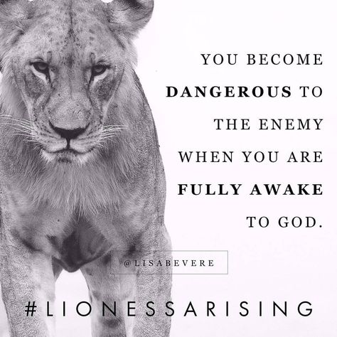 3,877 Likes, 50 Comments - Lisa Bevere (@lisabevere) on Instagram: “Lioness, the darkness trembles when you turn your face toward the light. "Awake, sleeper, and arise…” Lioness Quotes, Lisa Bevere, Ephesians 6 11, Warfare Prayers, Lion Quotes, Ephesians 6, Lion Of Judah, Gods Grace, A Lion