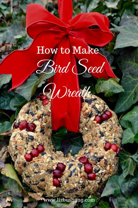 Dried Fruit and Berry Bird Seed Wreath DIY Bird Seed Wreath Recipe, Nut Wreath, Duck Keeping, Bird Seed Crafts, Bird Seed Wreath, Edible Wreath, Bird Seed Ornaments, Chicken Care, Homemade Bird Feeders