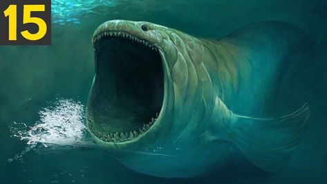 TOP 15 SCARY ANIMAL Dangerous Fish, Scary Fish, Sea Monster Art, Ocean Monsters, Scary Ocean, Scary Animals, Scary Places, Sea Monsters, Ocean Creatures