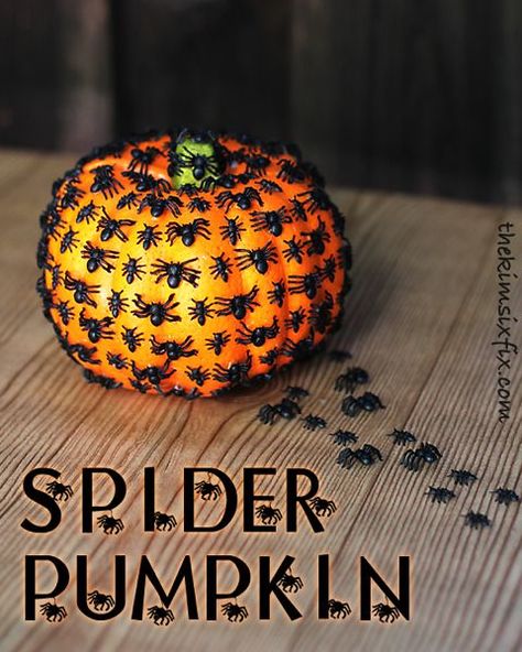 Dollar store pumpkin covered in a bag of plastic spiders. So creepy and easy to make Unique Pumpkin Decorating, Spider Pumpkin, Halloween Spider Decorations, Hallowen Ideas, Pumpkin Spider, Orange Pumpkin, Halloween Spider, Halloween Recipes, Halloween Projects