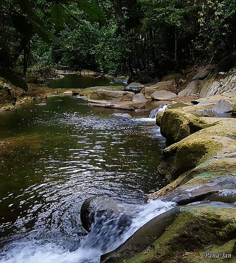 Small Waterfall, Beautiful Gif, Nature Gif, Beautiful Waterfalls, Best Photographers, Wildlife Art, Belleza Natural, Landscape Photos, Amazing Flowers