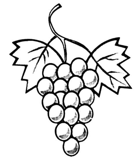 COLORIAGE: grappe de raisin - Le blog de LUDOVICA Grape Drawing, Grape Color, Simple Line Drawings, Wood Burning Patterns, Grape Bunch, Clipart Black And White, Bas Relief, Coloring Pictures, Simple Lines