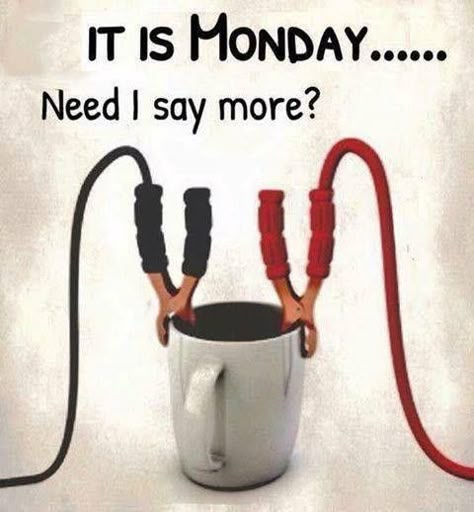 Monday Coffee Meme, Coffee Meme, Monday Coffee, Monday Memes, Monday Humor, Week Quotes, Coffee Life, Morning Quotes Funny, Coffee Obsession