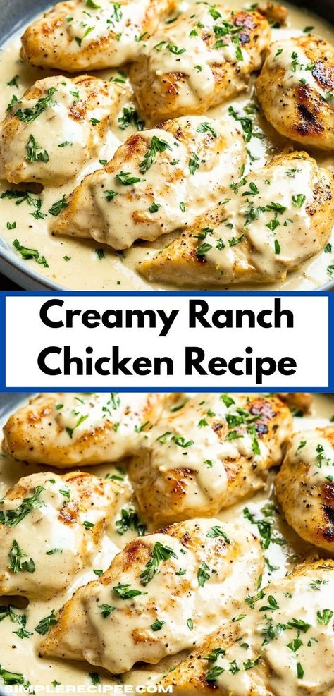 Looking for a delicious family dinner? This Creamy Ranch Chicken Recipe is the perfect solution. It's rich in flavor and incredibly easy to prepare, making it a favorite for busy weeknights. Ranch Seasoning Baked Chicken, Creamy Chicken Gloria, Crockpot Creamy Ranch Chicken Recipes, Easy Chicken Dishes For A Crowd, Chicken Breast Ranch Recipes, Creamy Ranch Chicken Oven, Chicken Ranch Casserole Recipes, Creamy Chicken Dishes, Chicken Dinner For A Crowd