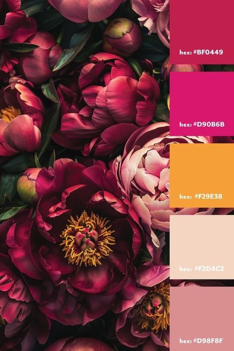 Fuschia Pink Color Palette, Fuschia Color Scheme, Fuschia Decor Ideas, Jewels Color Palette, Jewel Tone Orange, Color Palette Fuschia, Fuscia Color Pallet, Flower Colour Combinations, Dark Tropical Color Palette