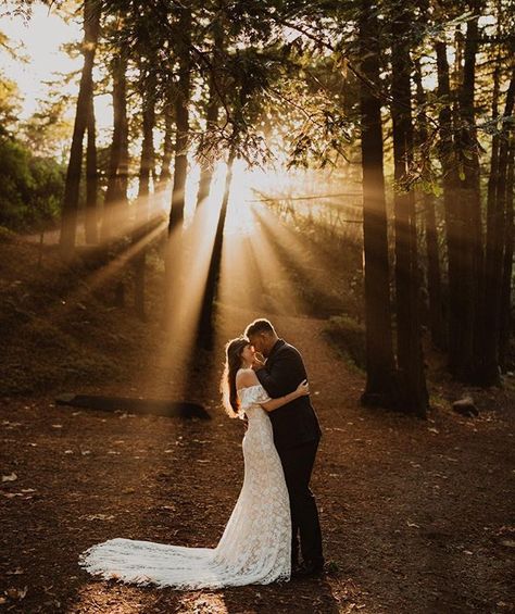 [RECOMMENDED VENDOR INSTAZINE | Post 4 of 6]  @jennycollen is a California wedding photographer based in Los Angeles. She specializes in intimate weddings and elopements and thrives showcasing wide landscapes like Yosemite Joshua Tree and Big Sur.  SCB Photographer: @jennycollen  #scbxjennycollen #scbinstazine #southerncaliforniabride #weddingdreams #weddingdecor #weddingday #weddinginspiration #instawedding #weddingideas #instawed #stylemepretty #weddingblog #thedailywedding #weddingplanner #in Forest Wedding Photoshoot, Big Sur Elopement, Redwood Wedding, Forest Elopement, Wedding Photography Checklist, Wedding Picture Poses, Redwood Forest, Thousand Oaks, Wedding Session