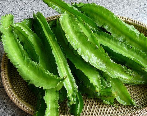 asparagus beans yellow leaves | Winged Bean (Asparagus Pea) Winged Bean, Green Leafy Vegetables, Vegetable Art, Bahay Kubo, Bean Pods, Asparagus Beans, Bean Plant, Asian Vegetables, Bean Seeds