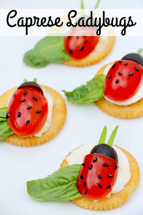 Caprese Ladybugs Recipe – Miss Frugal Mommy Caprese Ladybugs, Bug Food, Caprese Bites, Edible Ideas, Salad Appetizer, Party Platter, Bee Birthday, Easy Food Art, Cheese Boards