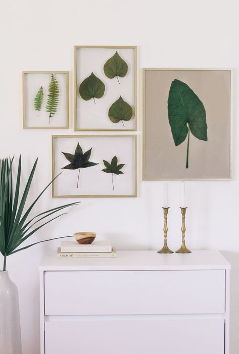 How to Frame Real Leaves to Create Original Botanical Art | Hunker Ikea Plant Stand, Leaf Art Diy, Pressed Flowers Diy, Framed Leaves, Arrow Wall Art, Framed Plants, Ikea Decor, Silhouette Wall Art, Star Wall Art