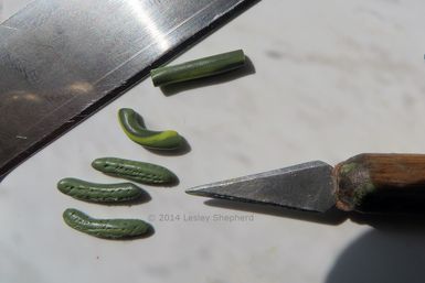 Sections of the pickle cane are cut, the ends are gently rounded, and then lines of small dots are made along the surface to turn the clay cane into miniature dill pickles. Clay Pickle, Pickles Cucumbers, Making Pickles, Make Pickles, Polymer Clay Techniques, Miniature Food Tutorials, How To Make Pickles, Clay Techniques, Dill Pickles