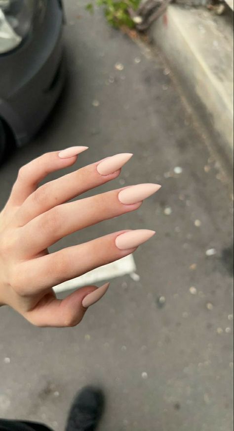 Pointy Neutral Nails, Stilleto Nails Neutral, Nude Stiletto Nails Short, Sharp Claws Nails, Minimalist Nails Stiletto, Acrylic Nails Pointy Almond, Long Acrylic Nails Pointy, Matte Stiletto Nails Design, Nude Pink Stiletto Nails