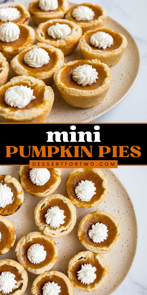 Add these Mini Pumpkin Pies to your pumpkin food ideas! This pumpkin pie recipe is best served with whipped cream on top and a sprinkle of pumpkin pie spice. It makes an easy Fall recipe! Tiny Pumpkin Pies, 1 Cup Pumpkin Recipes, Pumpkin Food Ideas, Small Pumpkin Pie, Thanksgiving For Two, Small Thanksgiving, Fruit Pie Recipe, Pumpkin Food, Easy Pumpkin Dessert