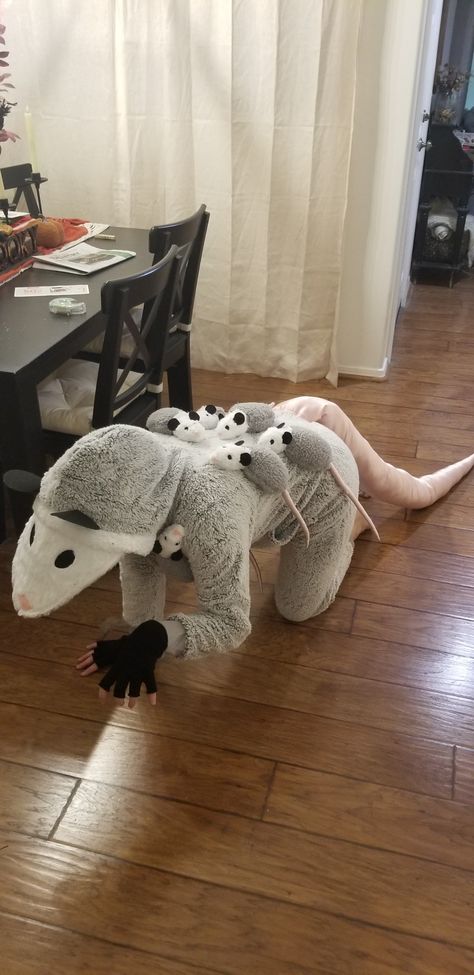 Possum Halloween Costume, Possum Stuffed Animal, Opossum Craft, Opossum Costume, Opossum Fursuit, Possum Costume, Possum Plush, Awesome Possum, Silly Animals