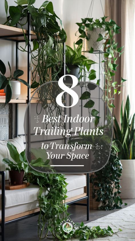 "Discover the 8 Best Indoor Trailing Plants to Transform Your Space! Elevate your indoor plant decor with stunning trailing houseplants that bring life and style to any room. Explore hanging plant ideas and indoor plant inspiration featuring various trailing plant varieties. Get essential indoor plant care tips to ensure your greenery thrives, and learn indoor plant styling techniques for the perfect trailing plant display ideas!" Indoor Trailing Plants, Hanging Plant Ideas, Best Houseplants, Plant Display Ideas, Plant Styling, Plant Inspiration, Plant Varieties, Plant Care Tips, Plant Display