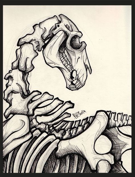 Skeleton Horse Aesthetic, Animal Skeleton Sketch, Cow Sculls Art, Ghost Horse Drawing, Skeleton Horse Art, Horse Skeleton Drawing, Horse Skull Drawing, Horse Skeleton Tattoo, Skeleton Animals Art