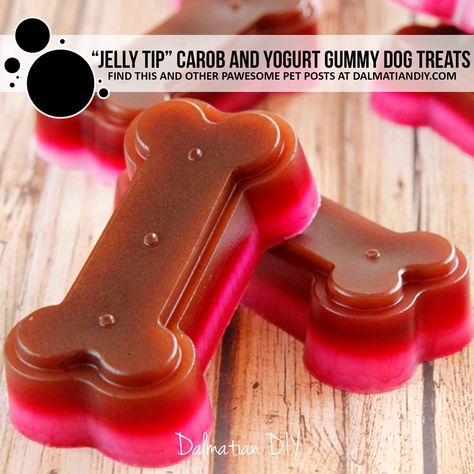 "Jelly Tip" Carob and Yogurt Gummy Dog Treats - Dalmatian DIY Homemade Gelatin, Dog Treats Homemade, Gummies Recipe, Carob Powder, Food Dog, Diy Dog Treats, Puppy Treats, Dog Cakes, Low Fat Yogurt