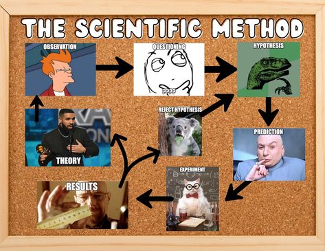 The Scientific Method but with memes to be relatable for the students! I have this posted in my classroom and they always get a good chuckle! 🤭 #science #sciencememes #scienceteacher #scienceteachers #teacher #teachergram #iteachtoo #iteachhighschool #highschool #scientificmethod #scientists #scientific #teaching Teaching High School Science, Teaching Chemistry High School, Highschool Biology, Highschool Science, High School Biology Teacher, Science Tips, Science Memes Student, The Scientific Method, School Study