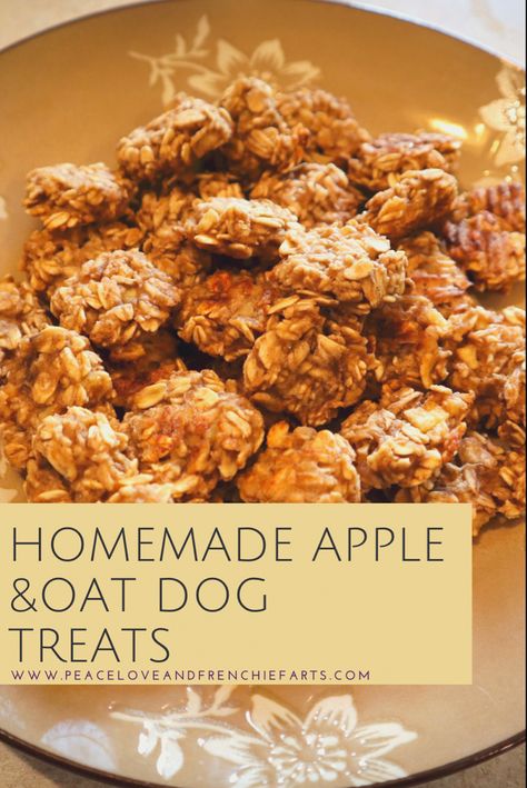 Beef Treats For Dogs, Homemade Dog Treats With Apples, Apple Oat Dog Treats, Human Grade Dog Treats, Puppy Homemade Treats, Homemade Apple Dog Treats, Apple Recipes For Dogs, Dog Treat Charcuterie Board, Dog Treats With Apples