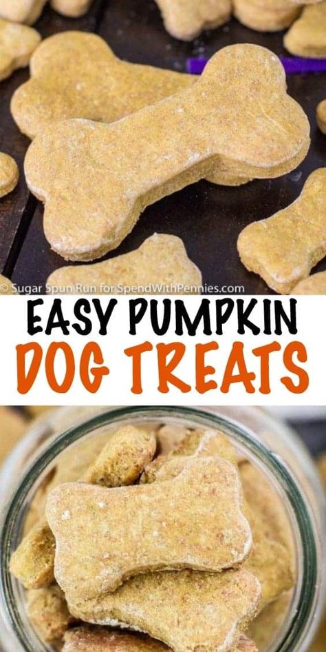 Easy Pumpkin Dog Treats, Pumpkin Dog Treat, Dog Cookie Recipes, Homemade Dog Cookies, Dog Treat Recipe, Dog Treats Homemade Easy, Dog Biscuit Recipes, Leftover Pumpkin, Easy Dog Treats