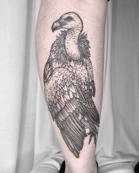 Katy Wiedemann on Instagram: “Finished this cape vulture on the lovely and talented @racheltruskotattoos last night! Outlines healed, shading lines fresh!…” Traditional Vulture Tattoo, Vulture Tattoo, Black Vulture, Skeleton Hand Tattoo, Intricate Tattoo, Creepy Tattoos, Tattoo Shows, Modern Tattoos, Traditional Tattoo Flash