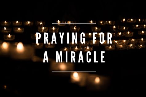 Pray For Miracles, Praying For A Miracle Quotes, Pray For A Miracle, Twin Quotes, Praying For A Miracle, Miracle Quotes, Healing Prayers, Ivf Journey, Inspire Quotes