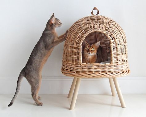 Natural Wicker Cat House from Hunting Pony • hauspanther Wicker House, Cat Standing, Gatto Carino, Cat Wall Furniture, Cat Basket, Handmade Bed, Two Cats, Pet House, Modern Cat